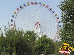 Ferris Wheel series » TP-FW72A
