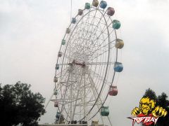 Ferris Wheel series » TP-FW42A